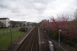 Wikipedia - Milliken Park railway station